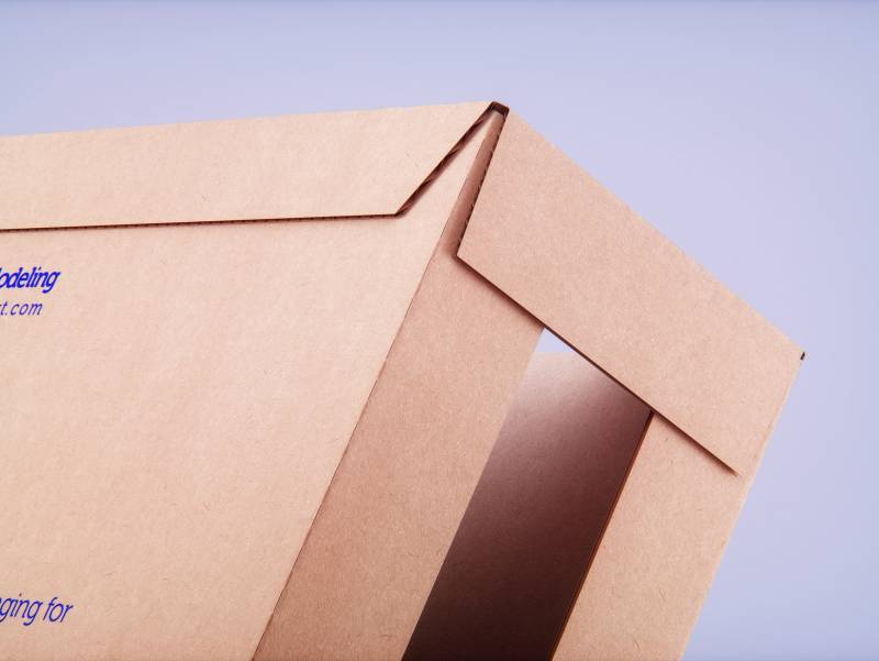 Premium multi-pack cardboard 3D model of 10x1000ml Elopak (Classic and Sense) carton packaging