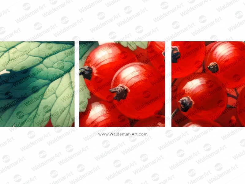 Premium Watercolor Illustration of Red currant twig with a medium-sized green leaf