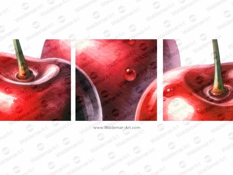 Premium Digital Watercolor Illustrations featuring three cherries on a white background
