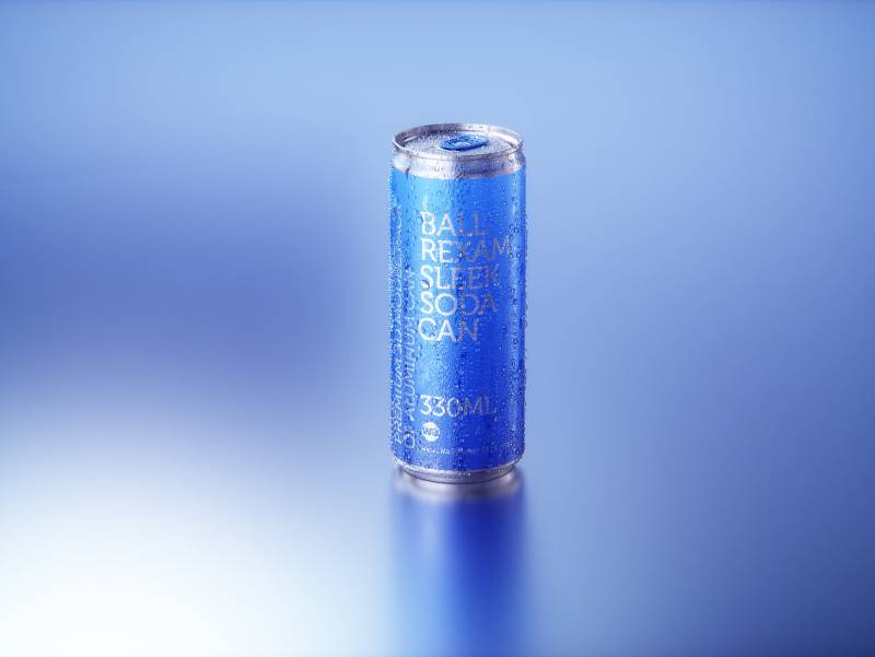Metal Sleek can 330ml with frost and water condensation professional 3D model pack