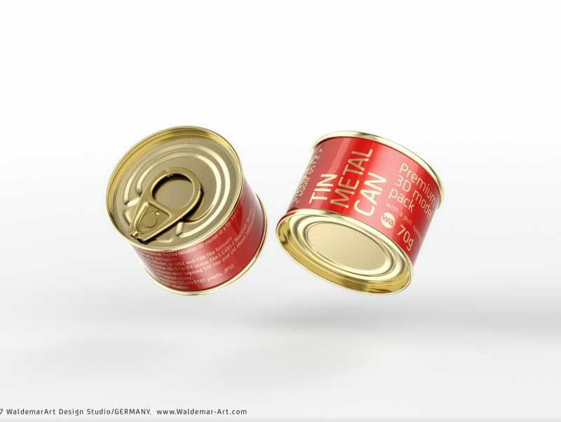 Packaging 3D model of the Tin metal can 70g with pull open