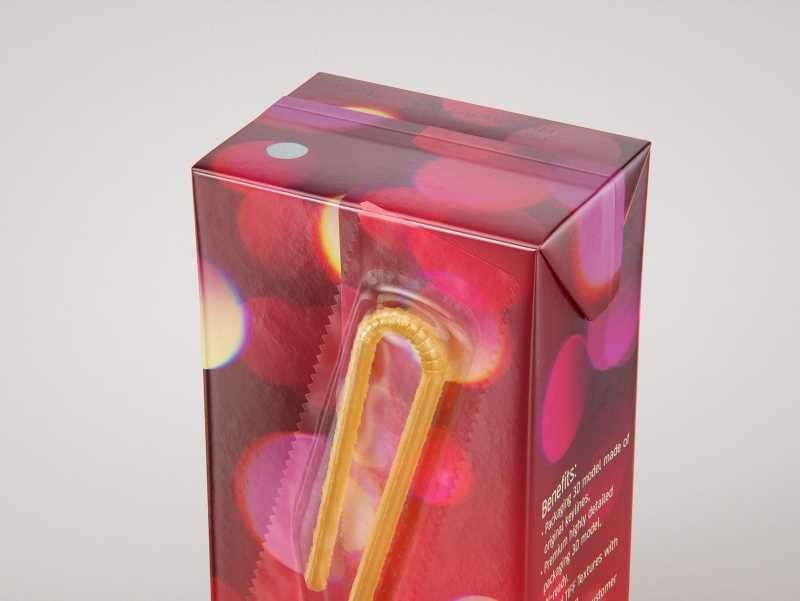 Tetra Pack Brik Mid 200ml with Pull Tab and a packaged straw packaging 3d model pak