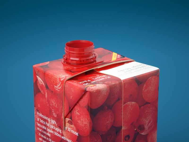 Tetra Pack Brick Square 500ml with HeliCap 27 3D model pak