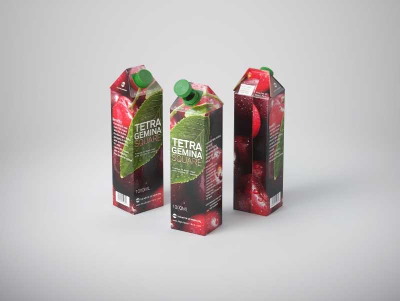 Premium 3D model pak of Tetra Pack Gemina Square 1000ml with HeliCap 27 closure