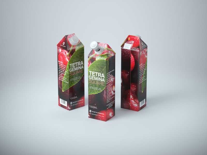 Premium Packaging 3d model pak of Tetra Pack Gemina Square 1000ml with StreamCap opening