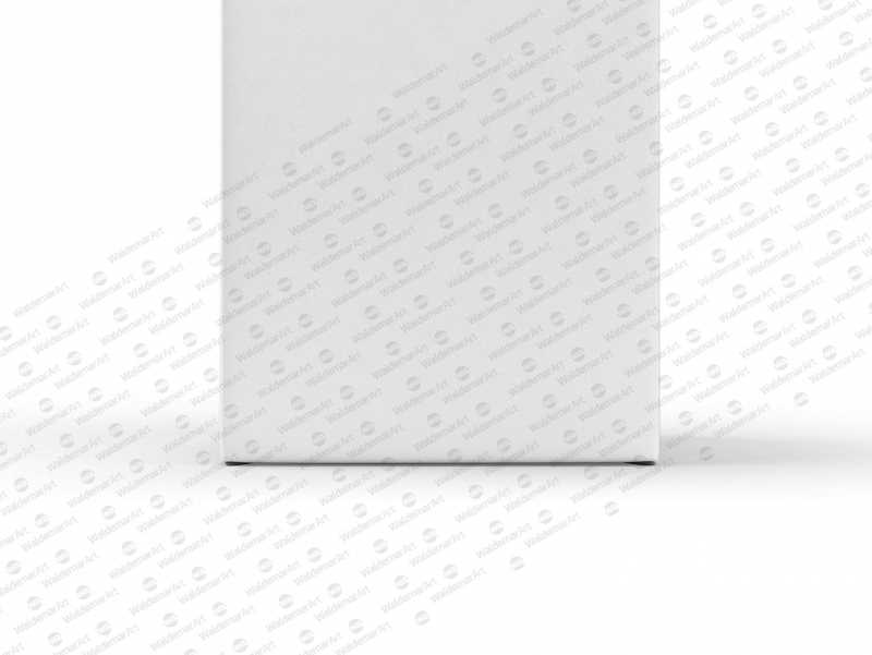 Package Mock-Up of Tetra Pack Brick Aseptic 1000ml with LightCap30 Front View