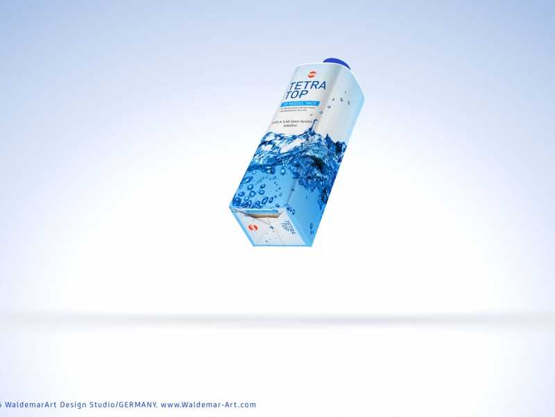 Packaging 3D model pak of Tetra Pack Top 1000ml Base with Katla S38