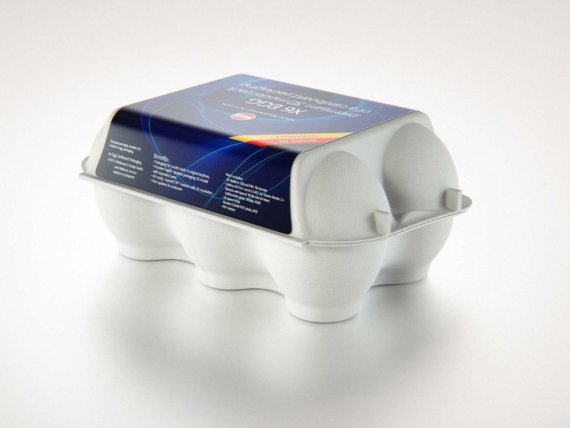 6x Egg Cold Pressed Paper Carton box packaging 3D model pack