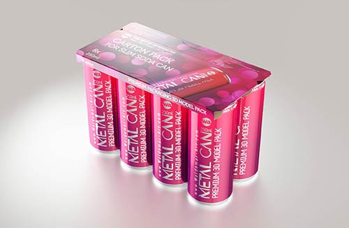 Tetra Pack Prisma 330ml with DreamCap Mock-up - Front view