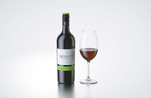 Smoothie Plastic Bottle 300ml packaging 3d model