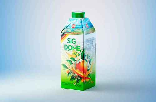 SIG CombiBloc Small 200ml with perforation and a straw hole packaging 3D model pak