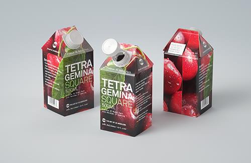 3d model pak of the Tetra Pack Top Base 1000ml with Eifel O38 closer