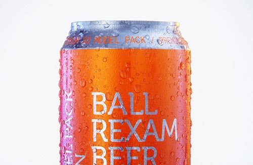 Plastic Sack for Pet Food 4,25Kg  packaging 3D model