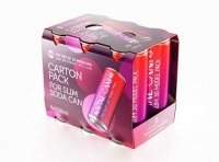 Premium Packaging 3D Model of carton box for 6x250ml Slim Soda Can