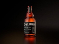 STEINIE Beer Glass Bottle 500ml 3d model with crown cork and labels