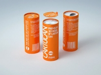 Packaging 3D model of carton can Cartocan 250ml
