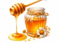Wooden honey dipper dripping honey near a small glass jar  premium digital illustration