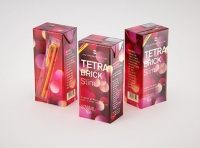 Tetra Pack Brick Slim 375ml with a Straw and Pull Tab packaging 3D model pak