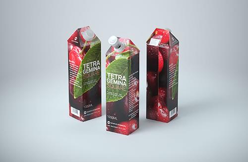 Premium Packaging 3d model pak of Tetra Pack Gemina Square 1000ml with StreamCap opening
