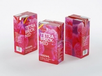 Tetra Pack Brick Aseptic Mid 1000ml packaging 3D model pak with FlexiCap
